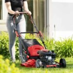 Scheppach motorna kosačica kosilica MS173-51 4.1 KS